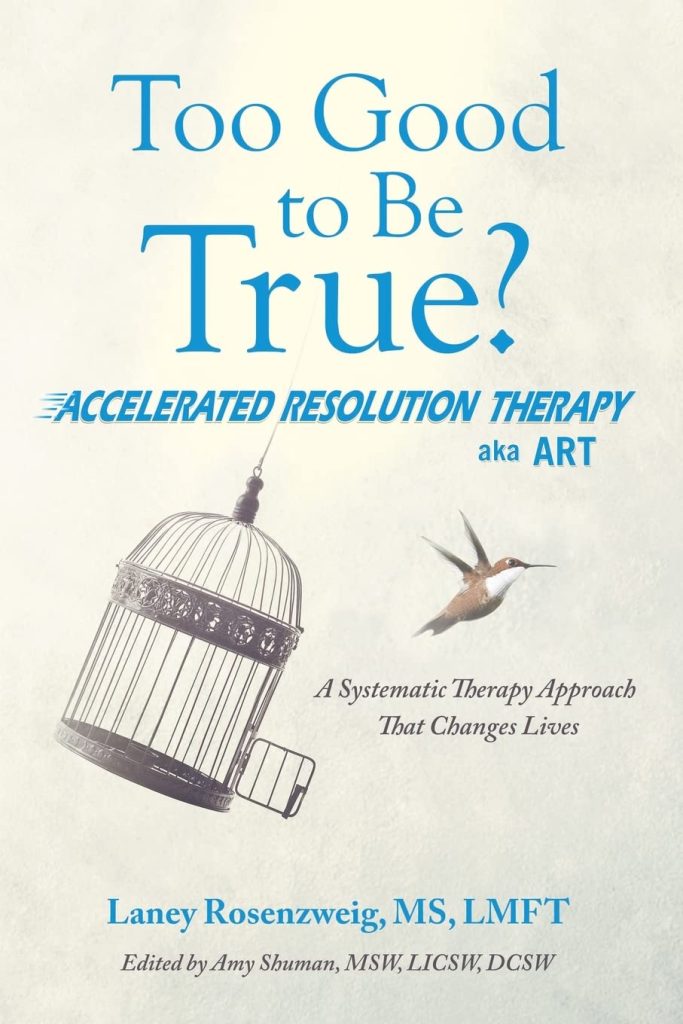 Too Good to Be True - Book Cover